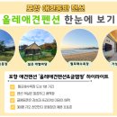 올레애견펜션 이미지
