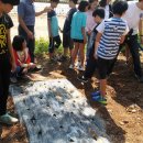 사창농장 이미지