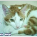 간석3동-10 이미지