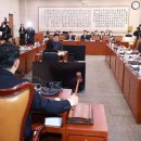 내란전담재판부 법사위 소위 통과 이미지