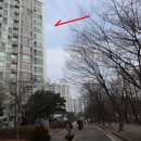 그린빌10단지 이미지