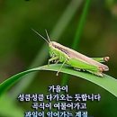 저스트비크로스핏