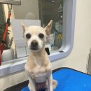 Mong's(몽'스) 이미지