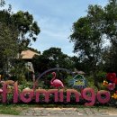 테마파크 | 베트남 푸꾸옥 북부여행 '빈펄사파리'와'빈원더스 테마파크' 후기