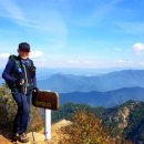 ● 창녕 화왕산억새 / 진주유등축제 ● 이미지