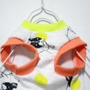 도그도기 이미지