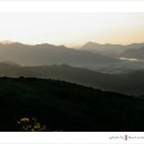 경준 카카오 검색결과