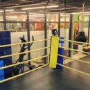 텐텐휘트니스 이미지