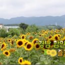 햇살찬농장 이미지