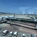 547 | 2-1.인천 → 부다페스트 아시아나 항공 OZ547편 직항 후기