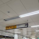 신전떡볶이함평점 | 기아타이거즈 원정 직관 솔직후기 3루 블루석 시야 내야지정석 함평 타이거즈 / 엘지트윈스 화이팅 ⚾️