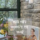 라시옹 이미지