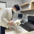 영등포구 이미지