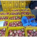 남선 농장 이미지