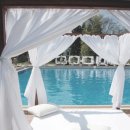 로뎀나무아래 이미지