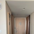 롯데시티호텔제주 이미지