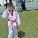 힘찬나래 태권도 이미지