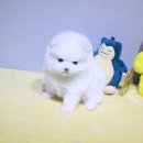 구월2동-16 이미지