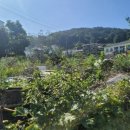 죽림리경로당 이미지