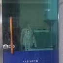 값진 나