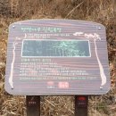 월전로 1 이미지