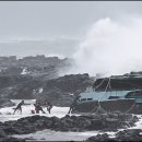 선인명과 이미지