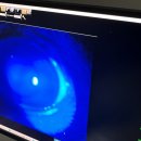 샤인아이안과동물병원 이미지