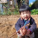 보람아트브레인어린이집 이미지