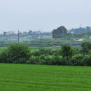 제환농장 이미지