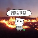오이시야 | 얼레벌레
