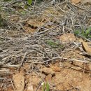 부여사나래캠핑농원 이미지