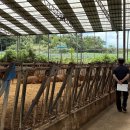 상강축사 이미지