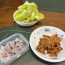 벚꽃약국 | 벚꽃이 만개하는 4월 첫 주