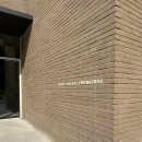 아이보리 타이거 이미지