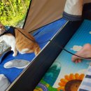 성남가족캠핑숲 이미지