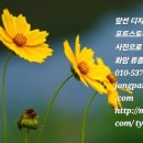 든든우리약국 이미지
