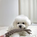 살랑가협동조합 이미지