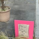 신동-18 | [수원] 수원신동카페거리 느좋 디저트 카페 &#34;해리커피스튜디오&#34; 파이맛집이네!🥧