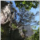 상학초등학교 이미지