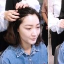 브이라인