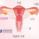 동원요양병원