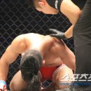 타모쓰