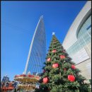 12/8 크리스마스 테라리움 이미지