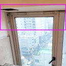 스파렉스 이미지