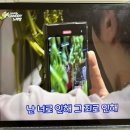 에프티제이 | 2024년에 18년차 아이돌밴드 에프티아일랜드?이홍기?에 입덕하게 된 일상