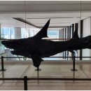 꺽쇠한우 이미지