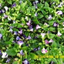 선산대로10-10 이미지