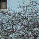 진도대교주유소 이미지