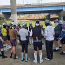 누리공원 Daum카페
