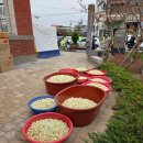 성주산을 품은 주민이 행복한 마을 | 공주 깍두기 축제 성료: 역사 속 깍두기, 나눔으로 꽃피우다